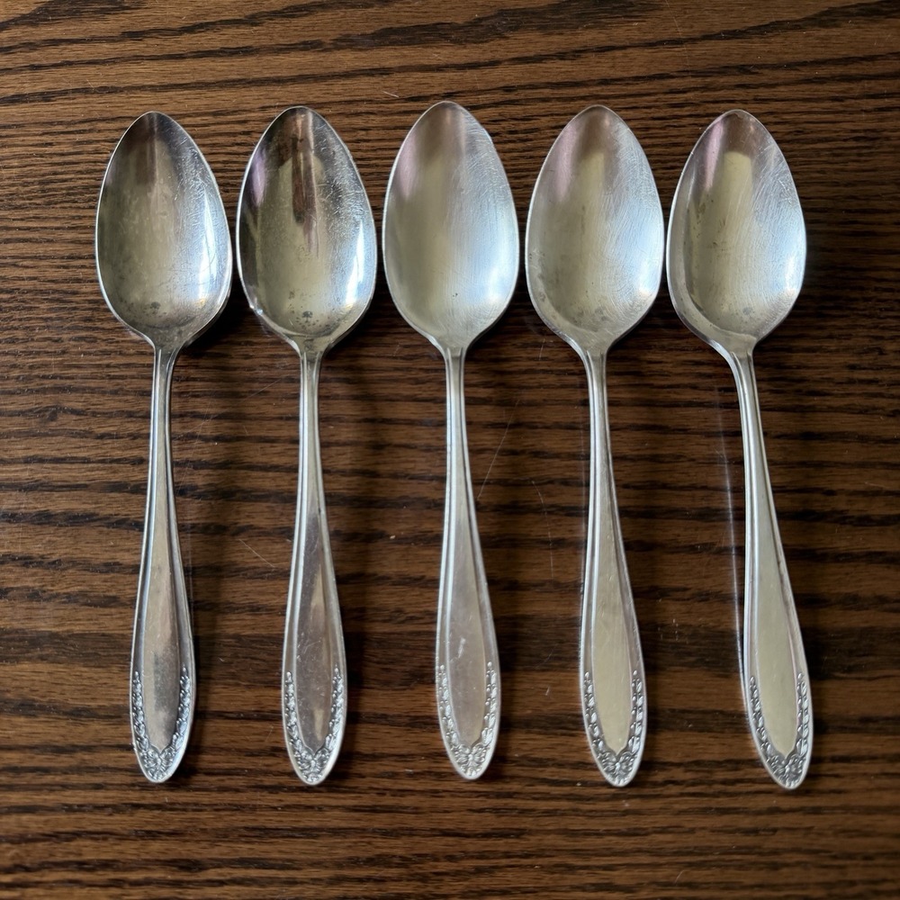 Vtg Oneida Community Bridal Wreath Silver Plate Tablespoon Serving Spoon‎ (5)